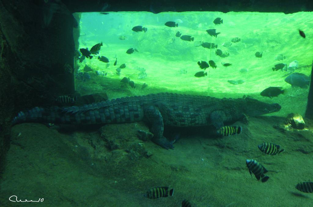 Foto de Valencia (València), España