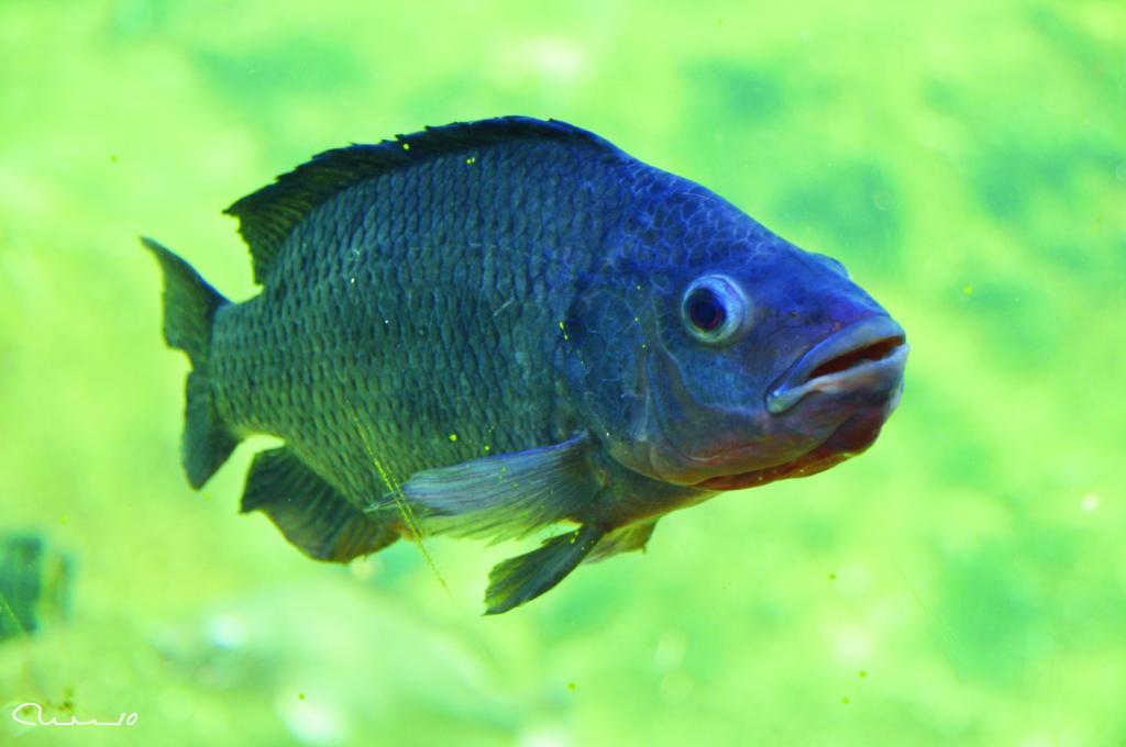 Foto de Valencia (València), España