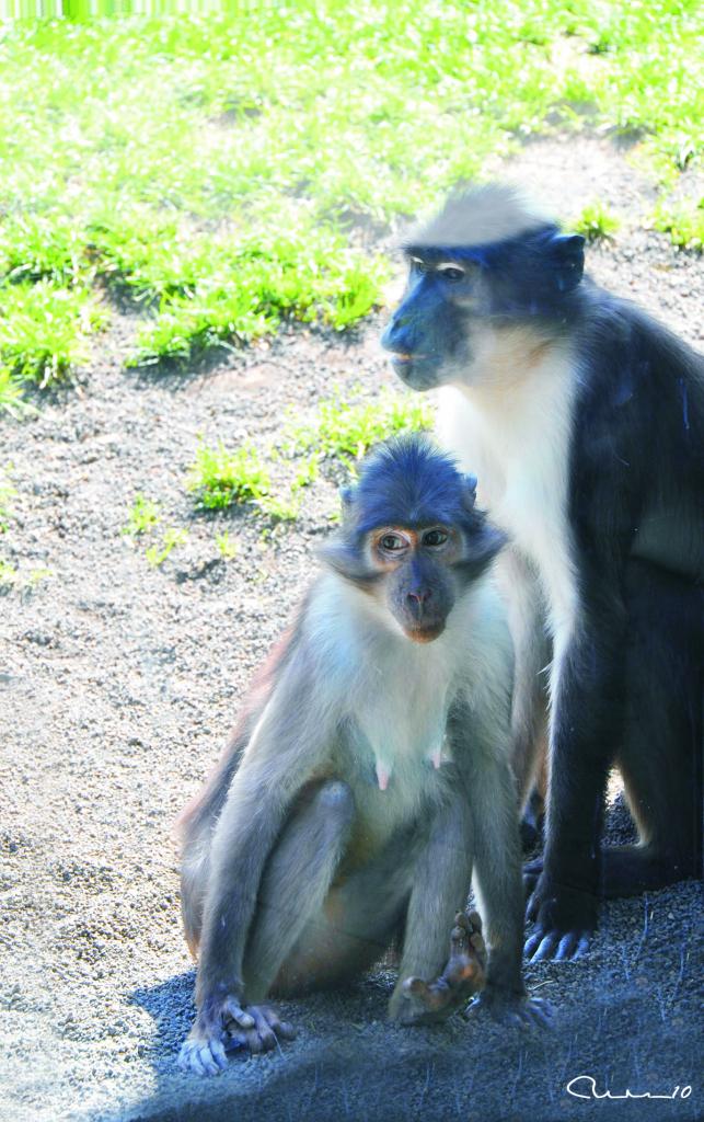 Foto de Valencia (València), España