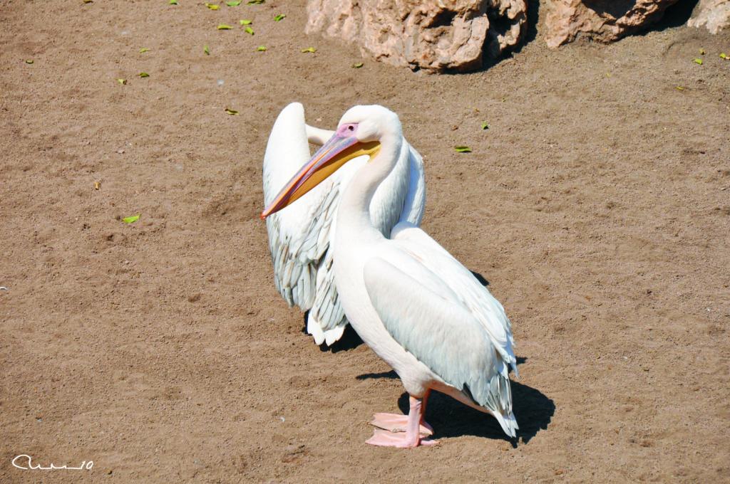 Foto de Valencia (València), España