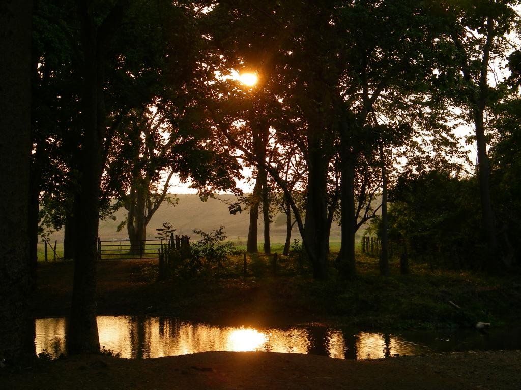Foto de Guarico, Venezuela