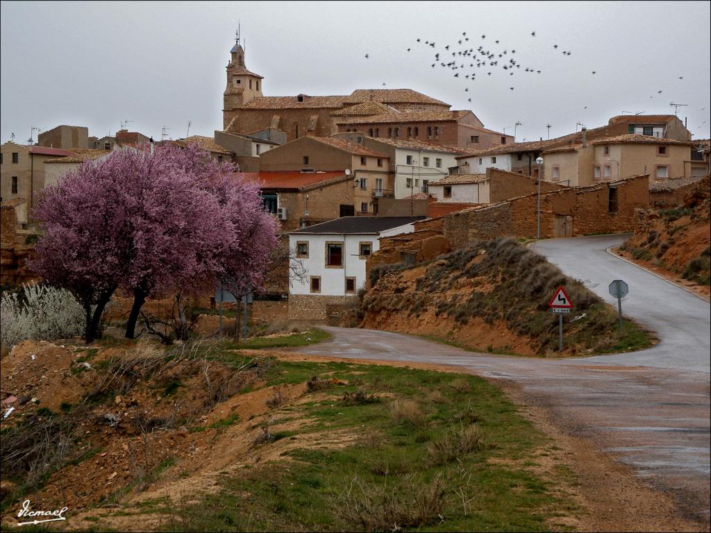 Foto de Alconchel de Ariza (Zaragoza), España