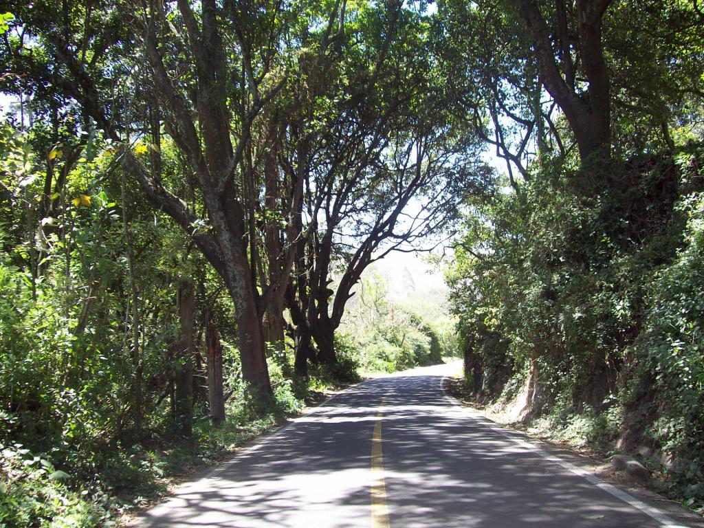 Foto de Rio Ambato, Ecuador