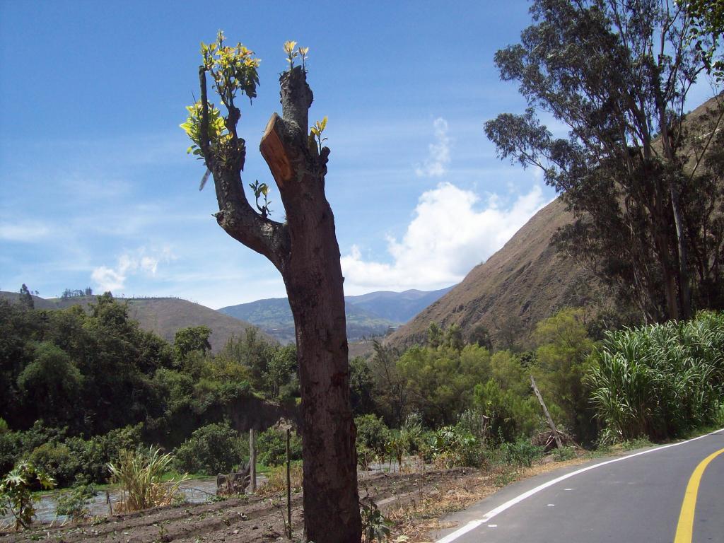 Foto de Rio Ambato, Ecuador
