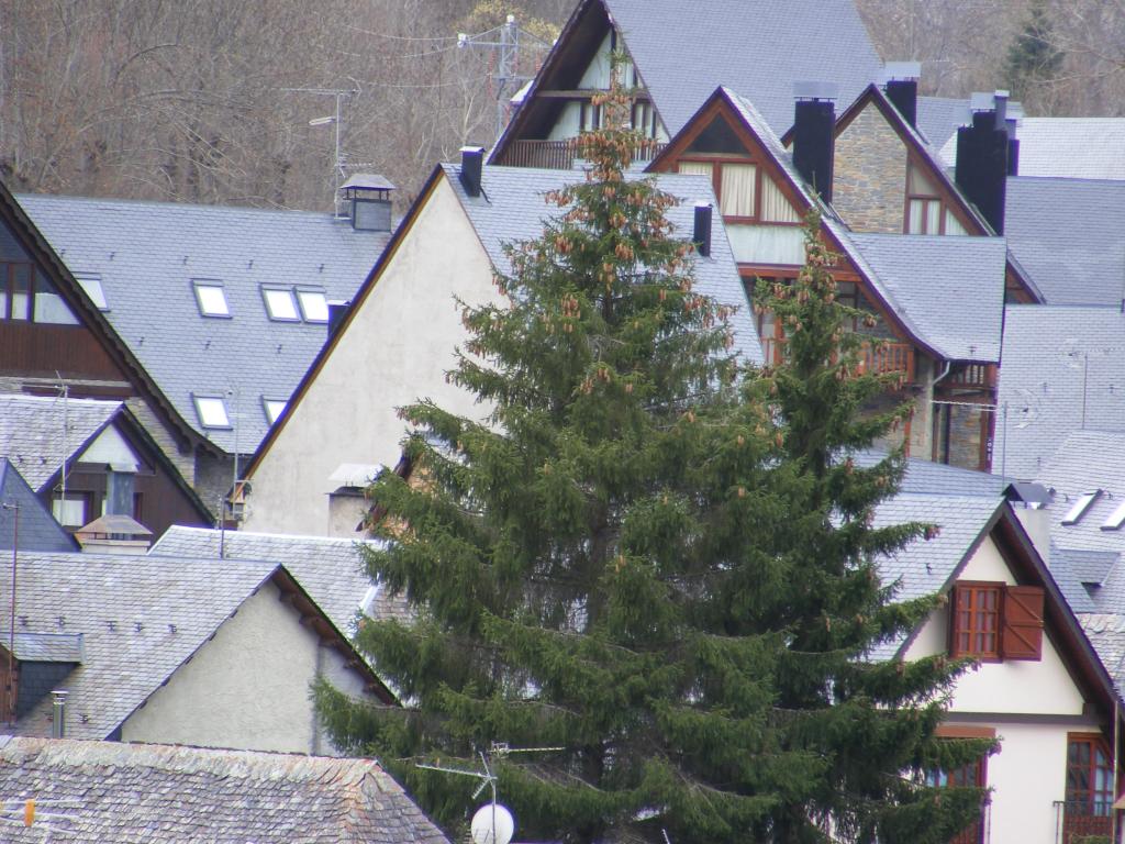 Foto de Arties (Lleida), España