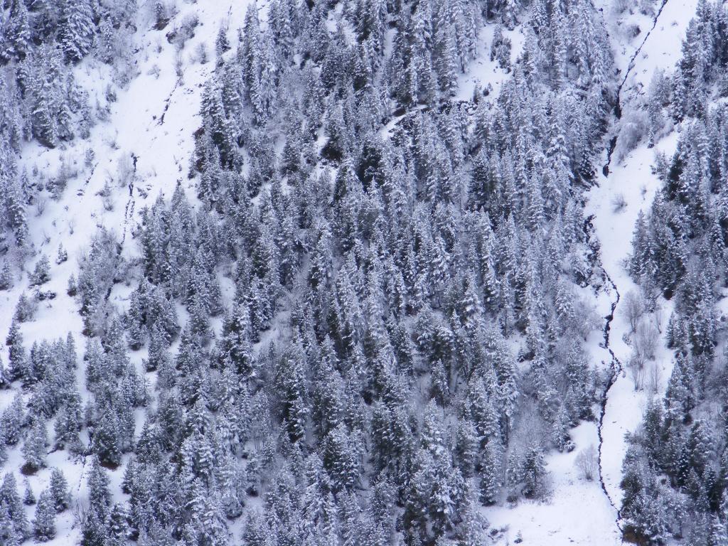 Foto de Port de la Bonaigua (Lleida), España