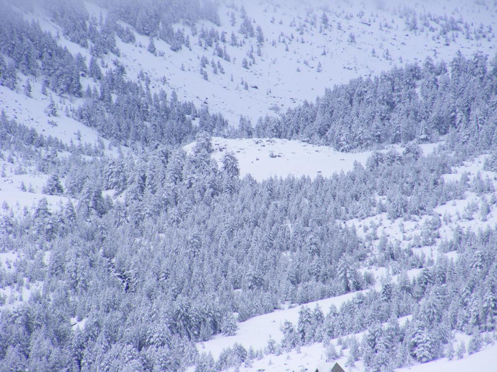 Foto de Port de la Bonaigua (Lleida), España