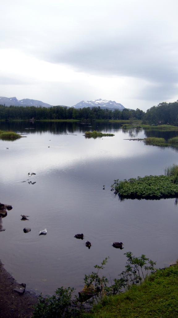 Foto de Tromso, Noruega