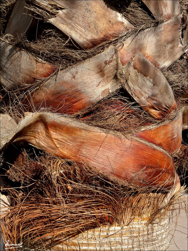 Foto de Islantilla (Huelva), España