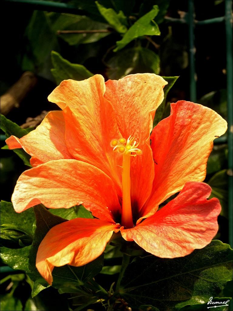 Foto de Islantilla (Huelva), España