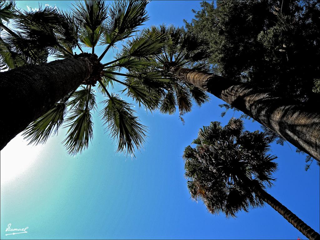 Foto de Huelva (Andalucía), España