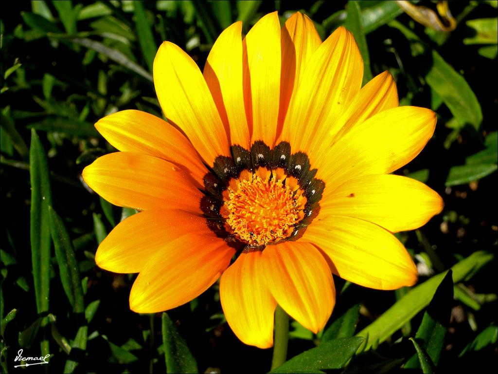 Foto de La Rabida (Huelva), España