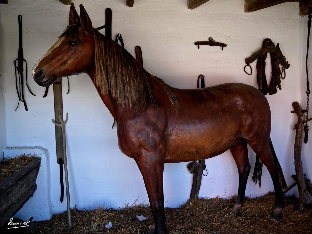 Foto de La Rabida (Huelva), España