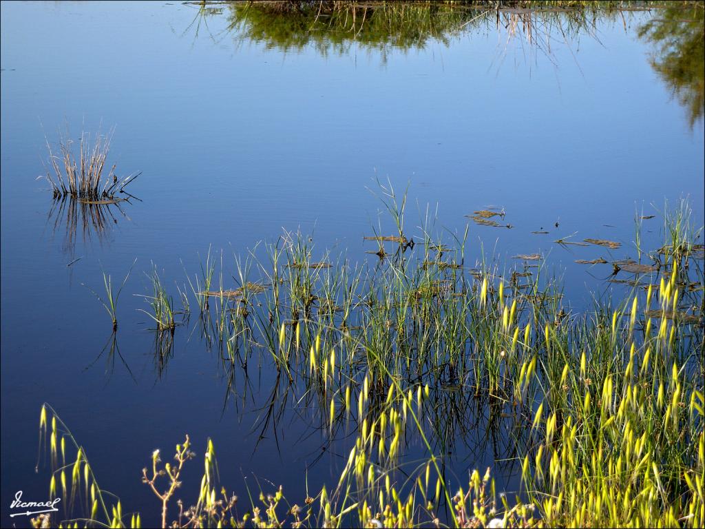 Foto de La Rabida (Huelva), España