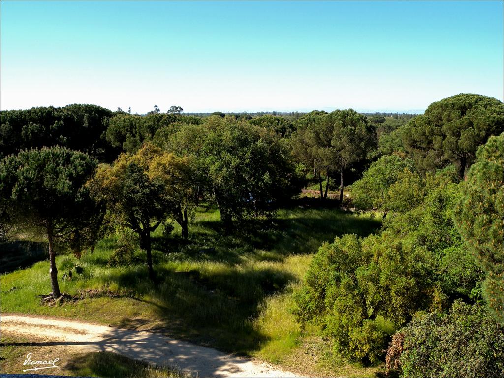 Foto de Almonte (Huelva), España