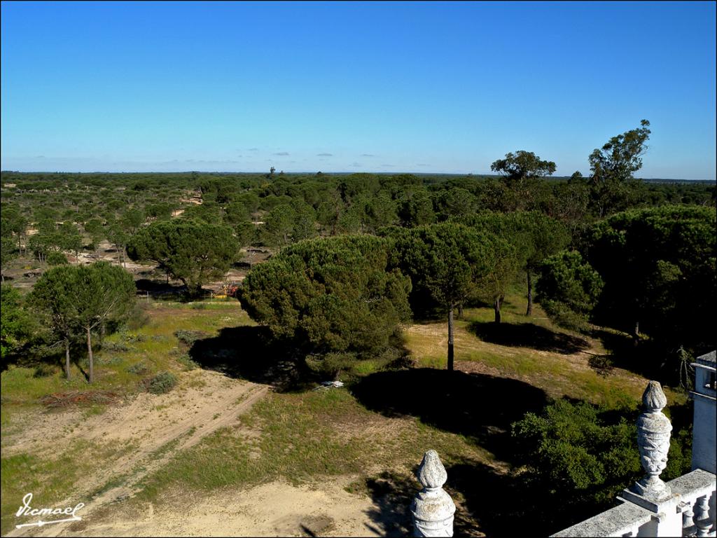 Foto de Almonte (Huelva), España
