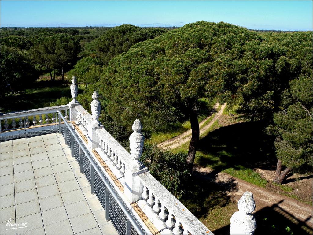 Foto de Almonte (Huelva), España