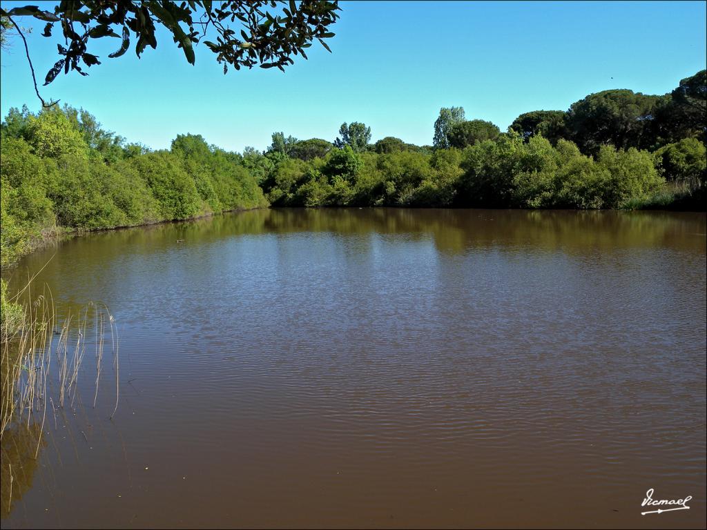 Foto de Almonte (Huelva), España