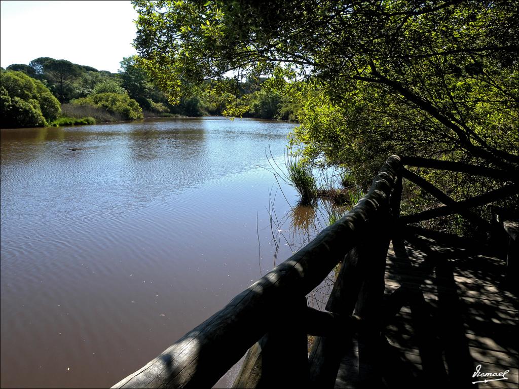 Foto de Almonte (Huelva), España