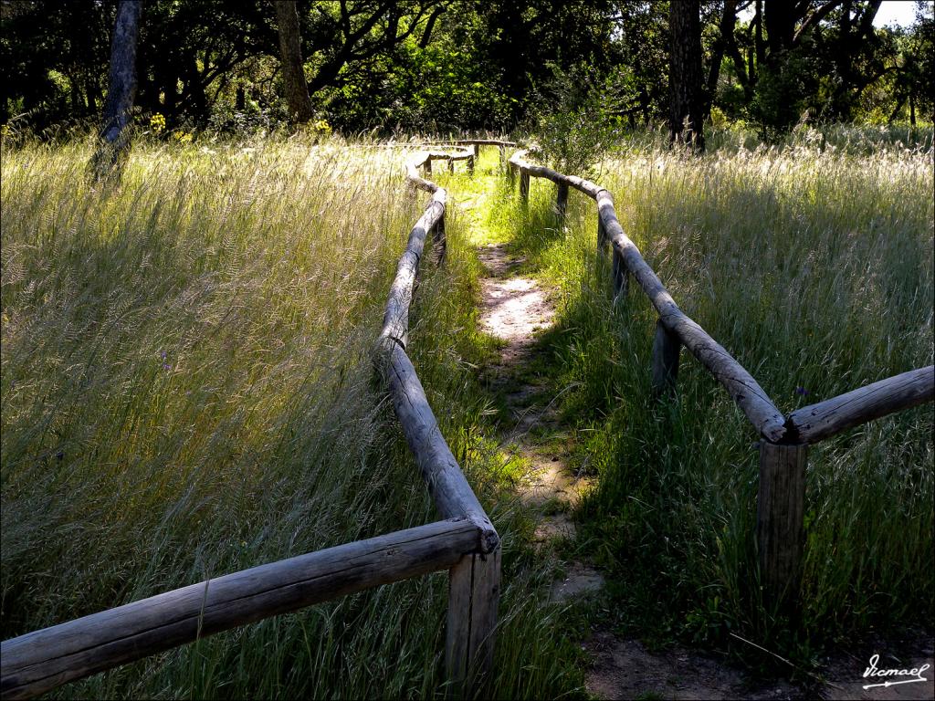 Foto de Almonte (Huelva), España