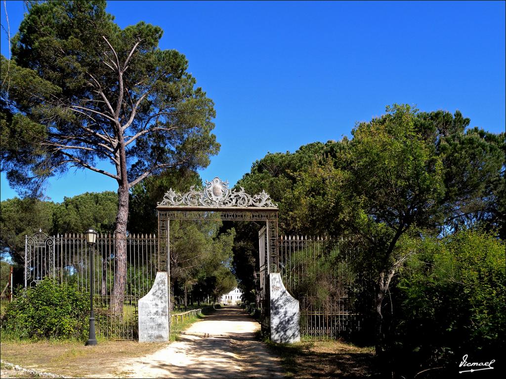 Foto de Almonte (Huelva), España