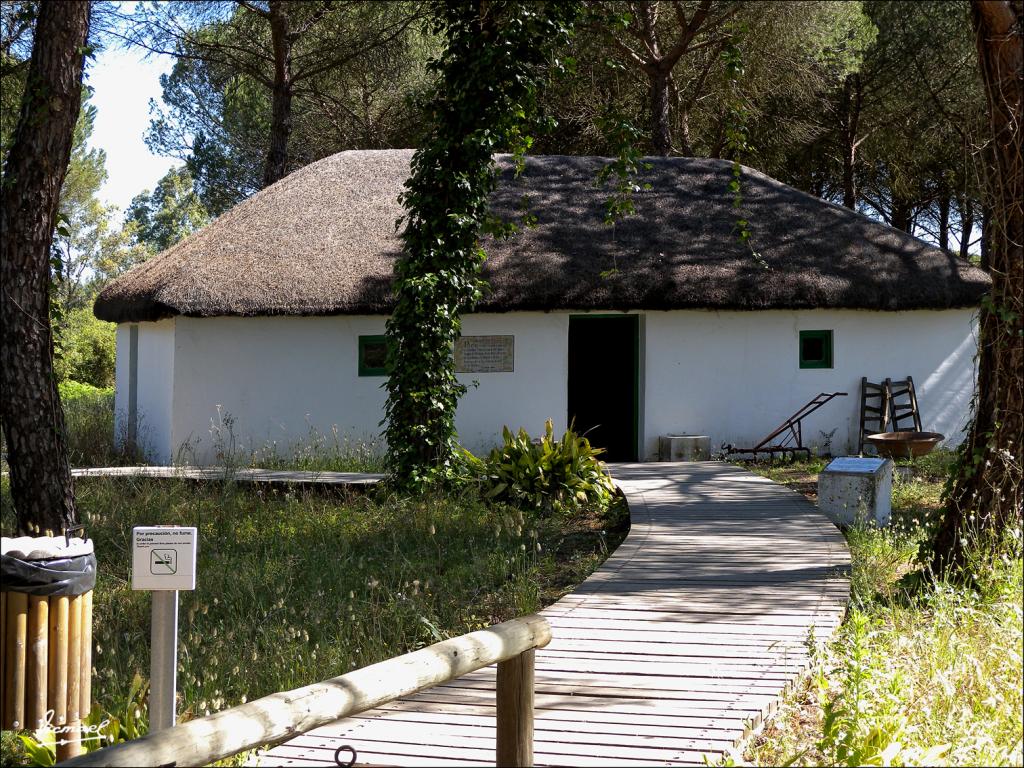 Foto de Almonte (Huelva), España