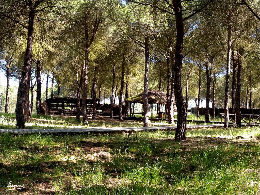 Foto de Almonte (Huelva), España