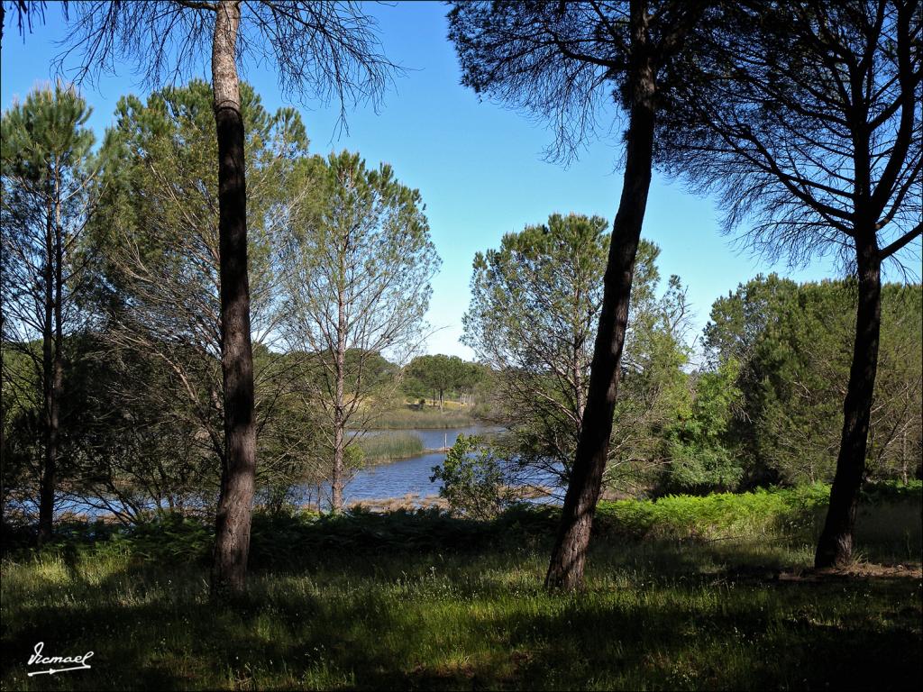 Foto de Almonte (Huelva), España