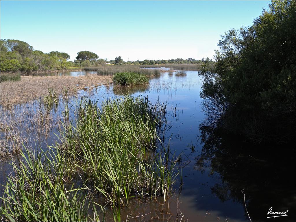 Foto de Almonte (Huelva), España