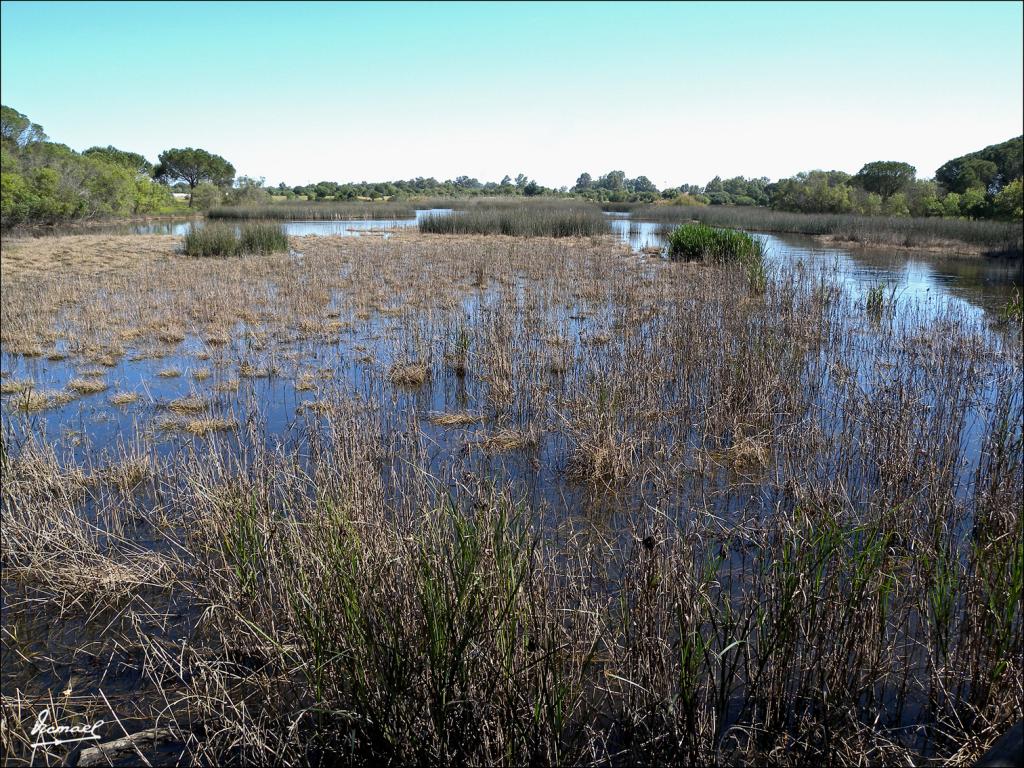 Foto de Almonte (Huelva), España