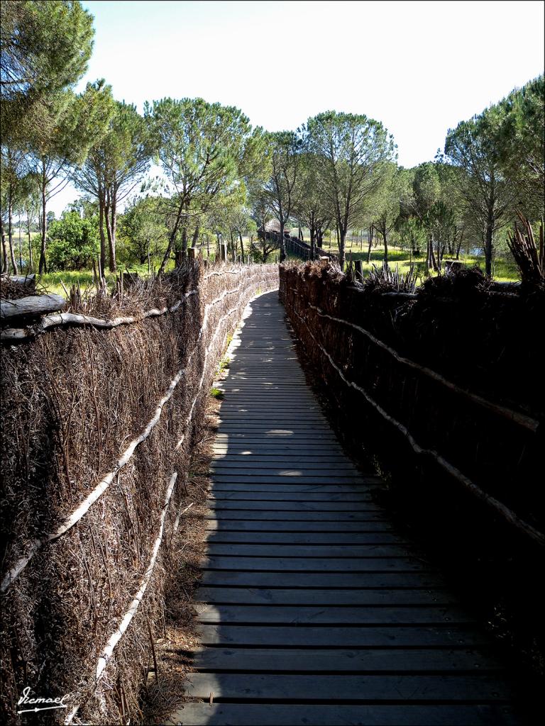 Foto de Almonte (Huelva), España