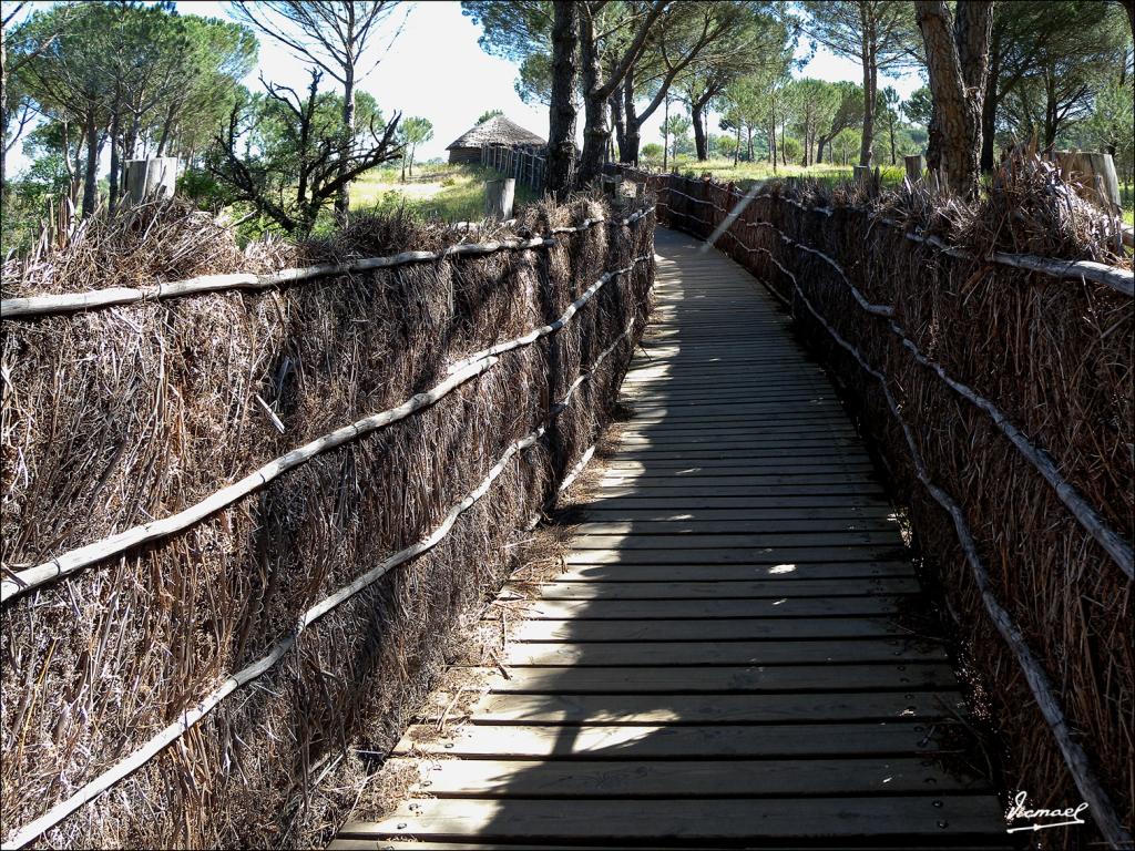 Foto de Almonte (Huelva), España