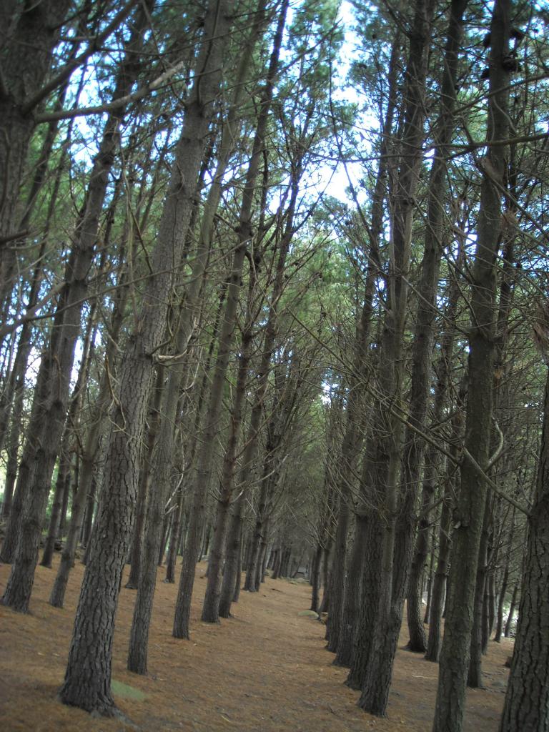Foto de Tandil, Argentina