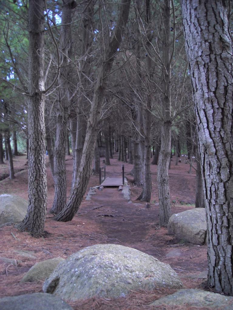 Foto de Tandil, Argentina