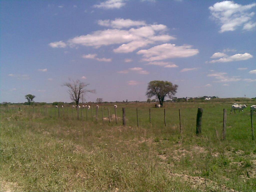 Foto de chaco'i, Paraguay