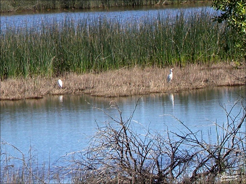 Foto de Almonte (Huelva), España