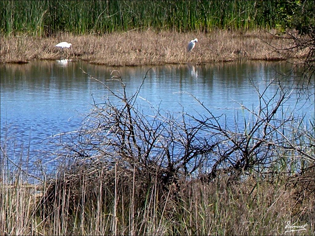 Foto de Almonte (Huelva), España