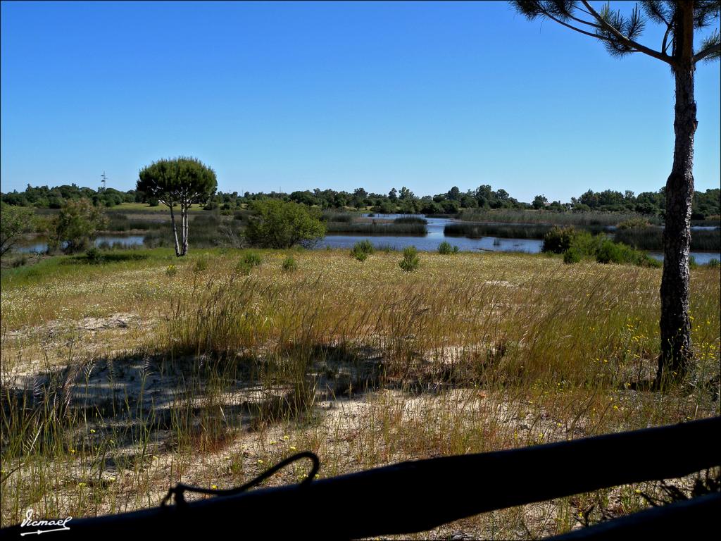 Foto de Almonte (Huelva), España