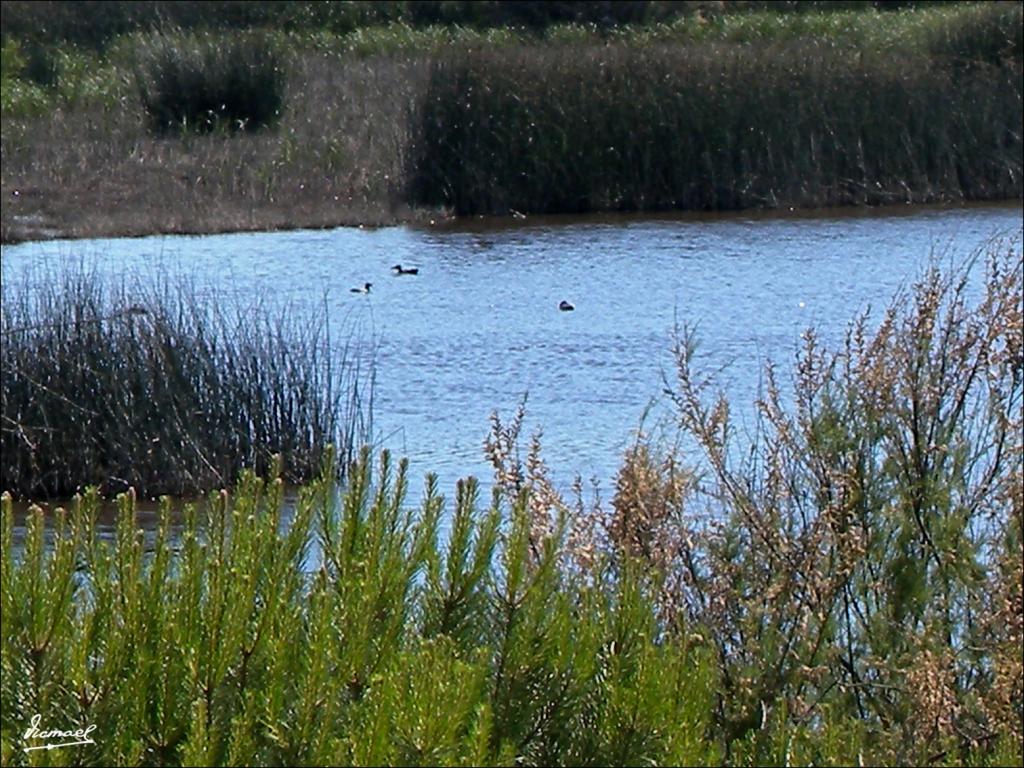 Foto de Almonte (Huelva), España