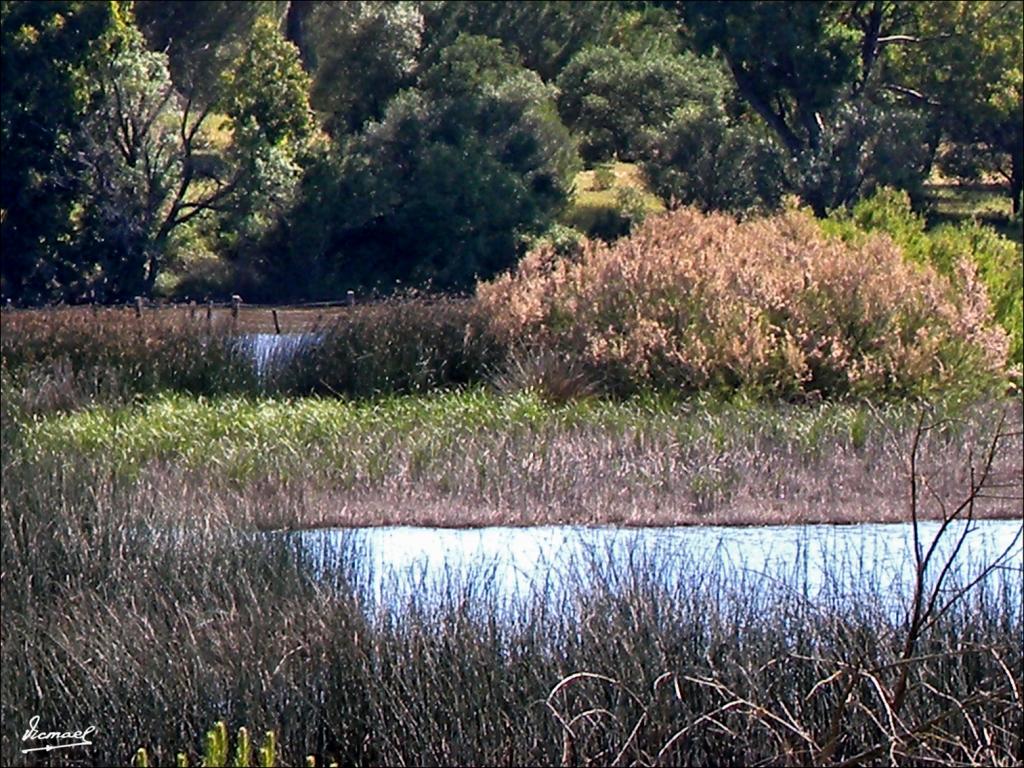 Foto de Almonte (Huelva), España