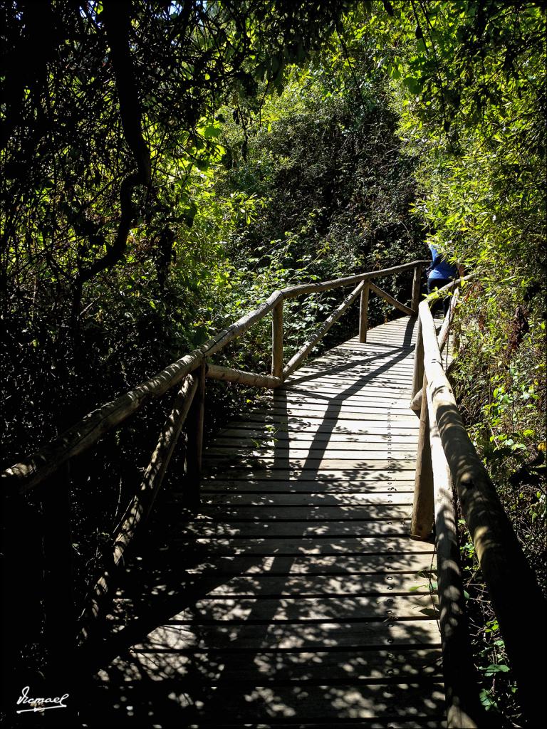 Foto de Almonte (Huelva), España