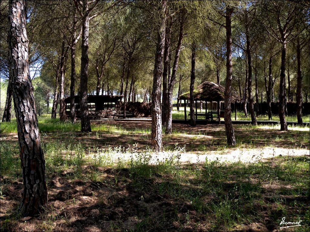 Foto de Almonte (Huelva), España