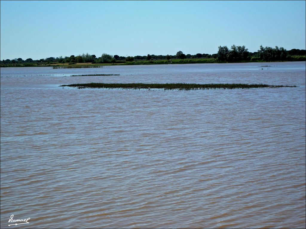Foto de Almonte (Huelva), España