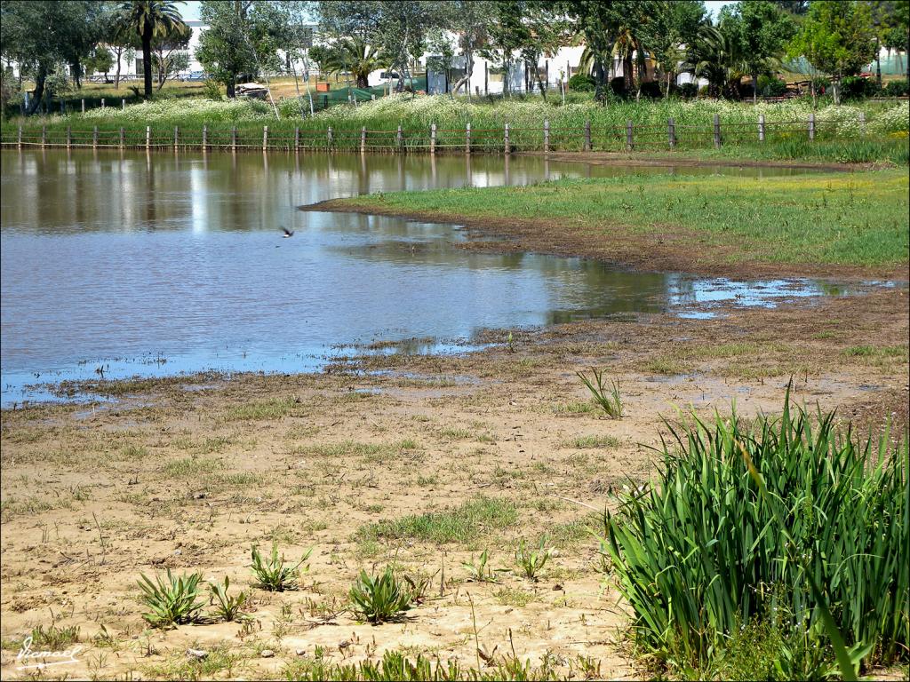 Foto de Almonte (Huelva), España