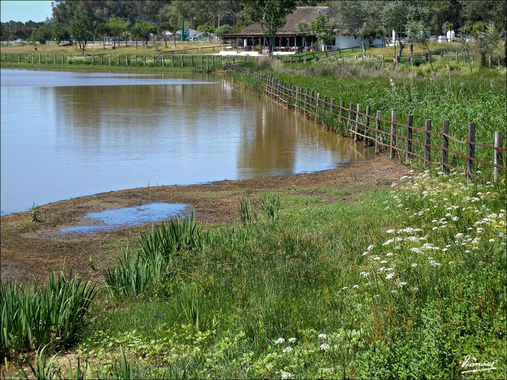 Foto de Almonte (Huelva), España
