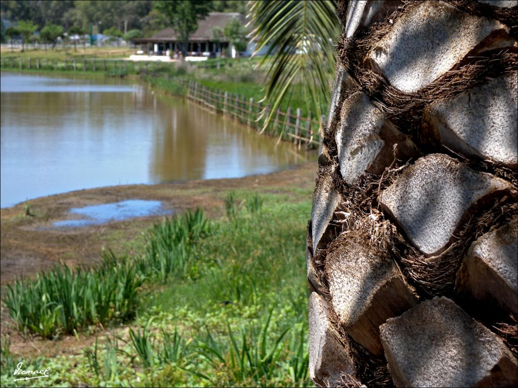 Foto de Almonte (Huelva), España