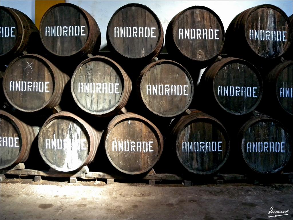 Foto de Bollullos (Huelva), España