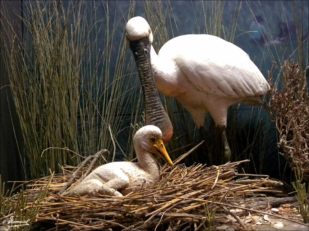 Foto de Punta Umbría (Huelva), España