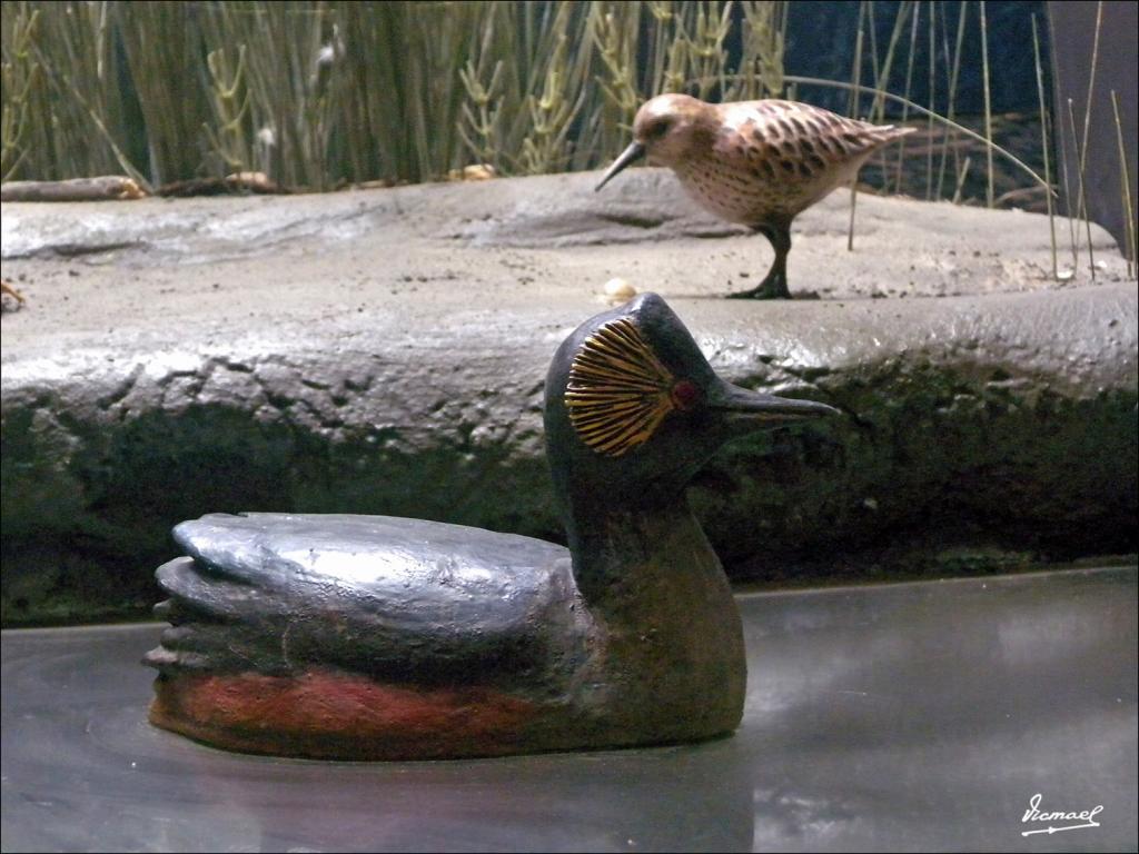 Foto de Punta Umbría (Huelva), España