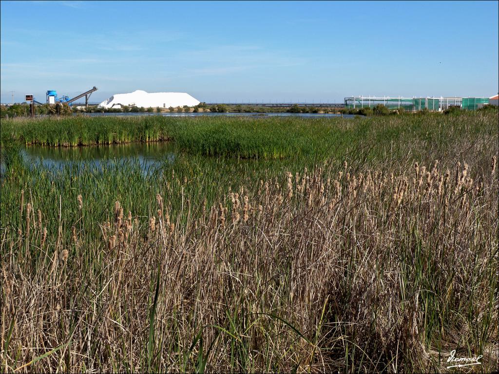 Foto de Punta Umbría (Huelva), España